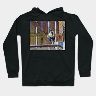 Cock Walk Hoodie